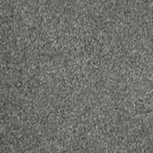 Delectable 02 Delicate Grey Carpet