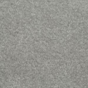 Delectable 03 Delightful Light Grey Carpet