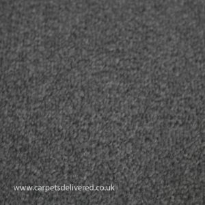 Edinburgh 116 Stone Stain Defender Polypropylene Carpet