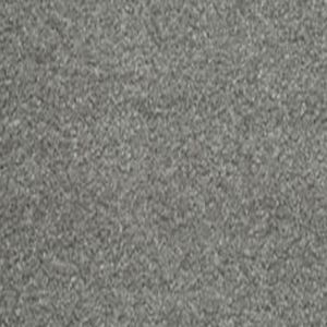 Delectable 05 Elegant Grey Carpet
