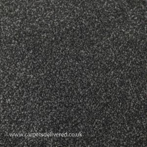 Liver Pool 77 Zinc Stain Defender Polypropylene Carpet