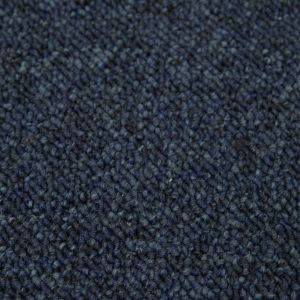 Canberra 882 Ocean Stain Defender Polypropylene Carpet