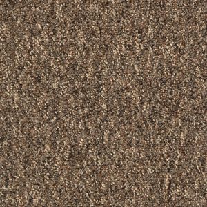 A067 888 High-Quality Woven Carpet with Tufted 5/32" Looppile and Excellent Water Resistance Feltbacking 