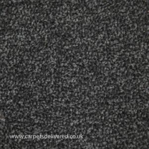 Newcastle 77 Pewter Polypropylene Easyback Carpet