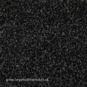 Newcastle 78 Anthracite Stain Defender Polypropylene Carpet