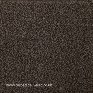 Queenstown 72 Mink Actionback Heavy Domestic Carpet