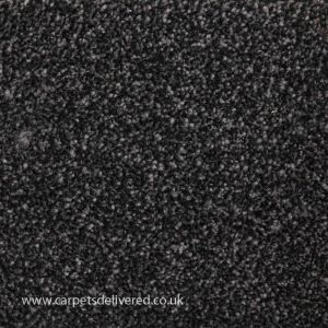 Queenstown 78 Charcoal Stain Defender Polypropylene Carpet