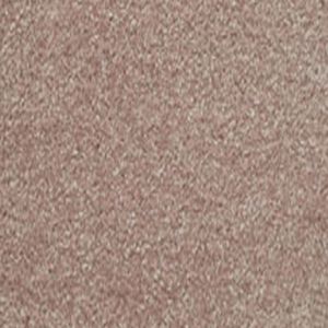 Delectable 12 Scrumptious Dark Beige Carpet