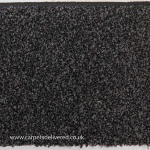 Cordoba 990 Rich Black Stain Defender Polypropylene Carpet