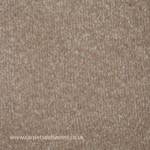 Summer 640 Stain Resistant Polypropylene Carpet