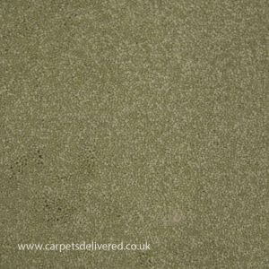 Paphos 40 Willow Stain Defender Polypropylene Carpet