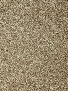 Pisa 09 Sand Dark Beige Bleach Cleanable Twist Pile Carpet