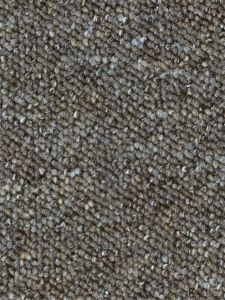 Amsterdam 01 Mink Grey Carpet